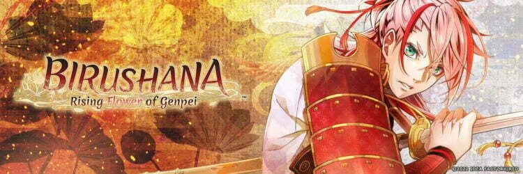 Birushana Noritsune banner